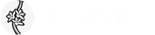Partner Sponsor
