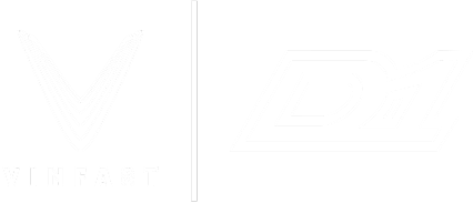 Partner Sponsor